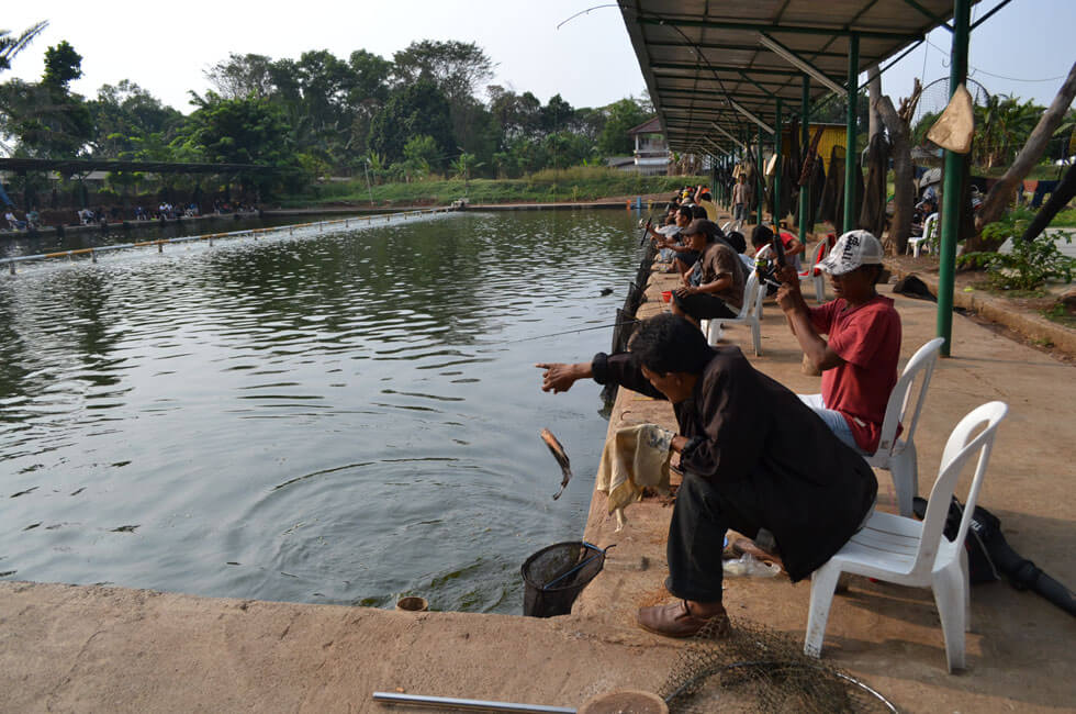 4 Recomendasi Kolam Pemancingan Bawal Tangerang